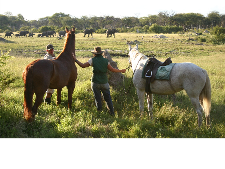 Ride Zimbabwe Hwange Safari 